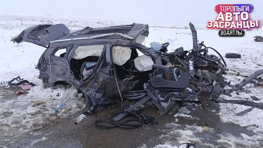 Дорожные приключения Январьнутых Торопыг и Водятлов! ДТП смотреть онлайн