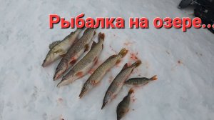 Судак,щука. Вот это улов😱😱😱.Зимняя рыбалка.