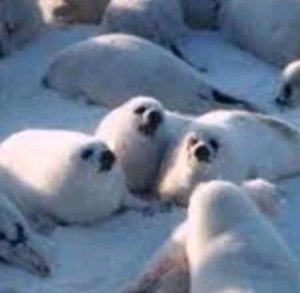 ДЕЛАЕМ ФИГУРКИ ИЗ ЭПОКСИДКИ! СМОТРИМ АРХИВЫ ТВОРЧЕСТВА!