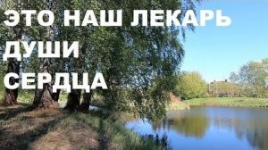 СОЛОВЕЙ СВОИМИ ТРЕЛЯМИ МГНОВЕННО УБЕРЁТ ПЛОХОЕ НАСТРОЕНИЕ И ТРЕВОГУ.ЭТО НАШ ЛЕКАРЬ ДУШИ И СЕРДЦА (1)