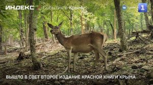 Вышло в свет второе издание Красной книги Крыма
