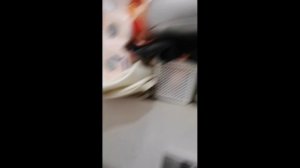 Влог|что случилось с Мифи?💞