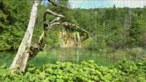 196.=Родина=. Сл. А. Зенцов, муз. и исп. В. Лашевский.