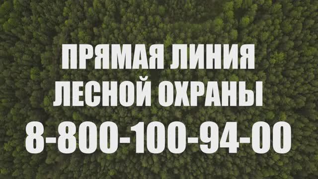 Берегите лесные ресурсы России (30 сек) смотреть онлайн