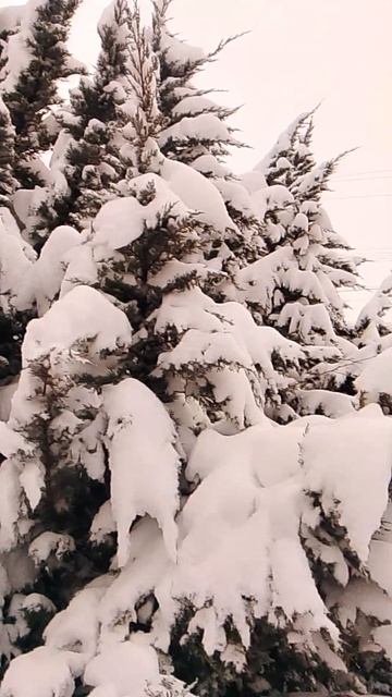 VID_20260112_164945 смотреть онлайн