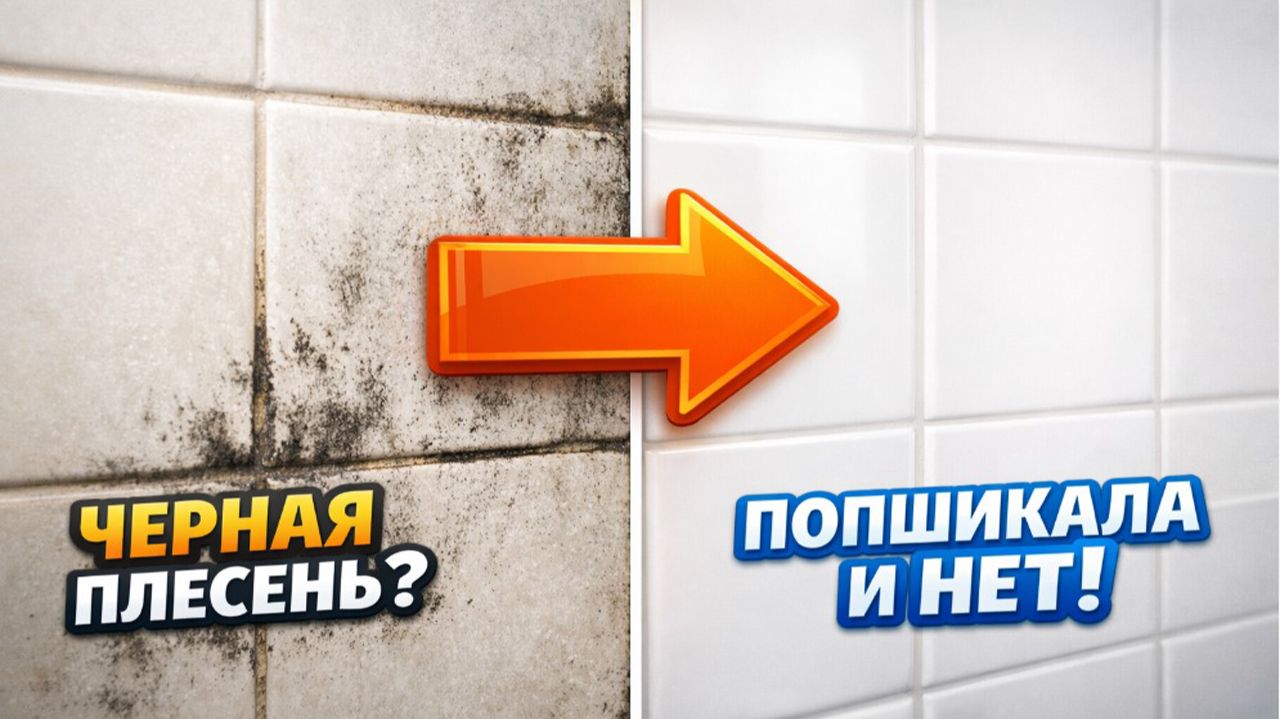 Просто "попшикала" и от черной плесени нет и следа смотреть онлайн