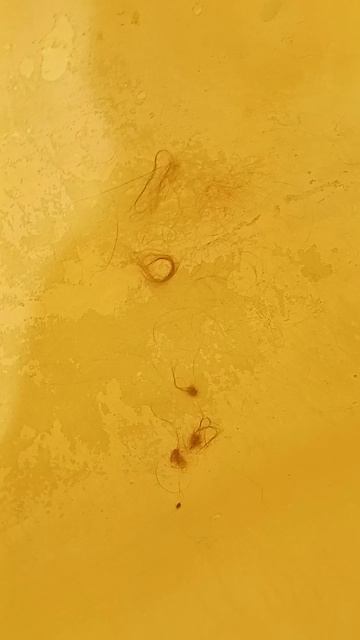 Мои волосы 😅 смотреть онлайн