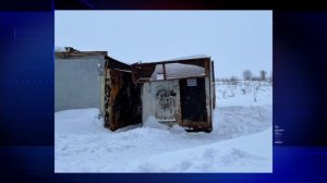 История с собакой, живущей в клетке.