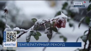 Самая холодная ночь ожидается в Краснодаре 14 января