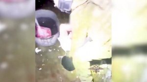 В Армавире полицейские задержали мужчину, отбивавшегося от них топором