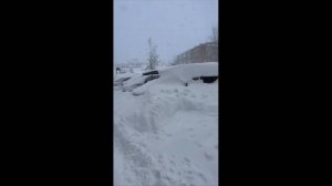 #смешныевидео -673