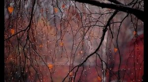 Вечер ранний октября - стихи Виктора Левашова, Ярославль.