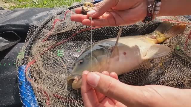 ЛОВЛЮ КАРПА НА ФЛЭТ ФИДЕР. смотреть онлайн