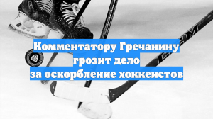 Комментатору Гречанину грозит дело за оскорбление хоккеистов