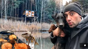 Дом на дереве! Поставил сеть Нашёл редкие грибы рыжики с Мартой и Беном