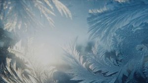 Старый Новый Год: Кружится снегопад песня