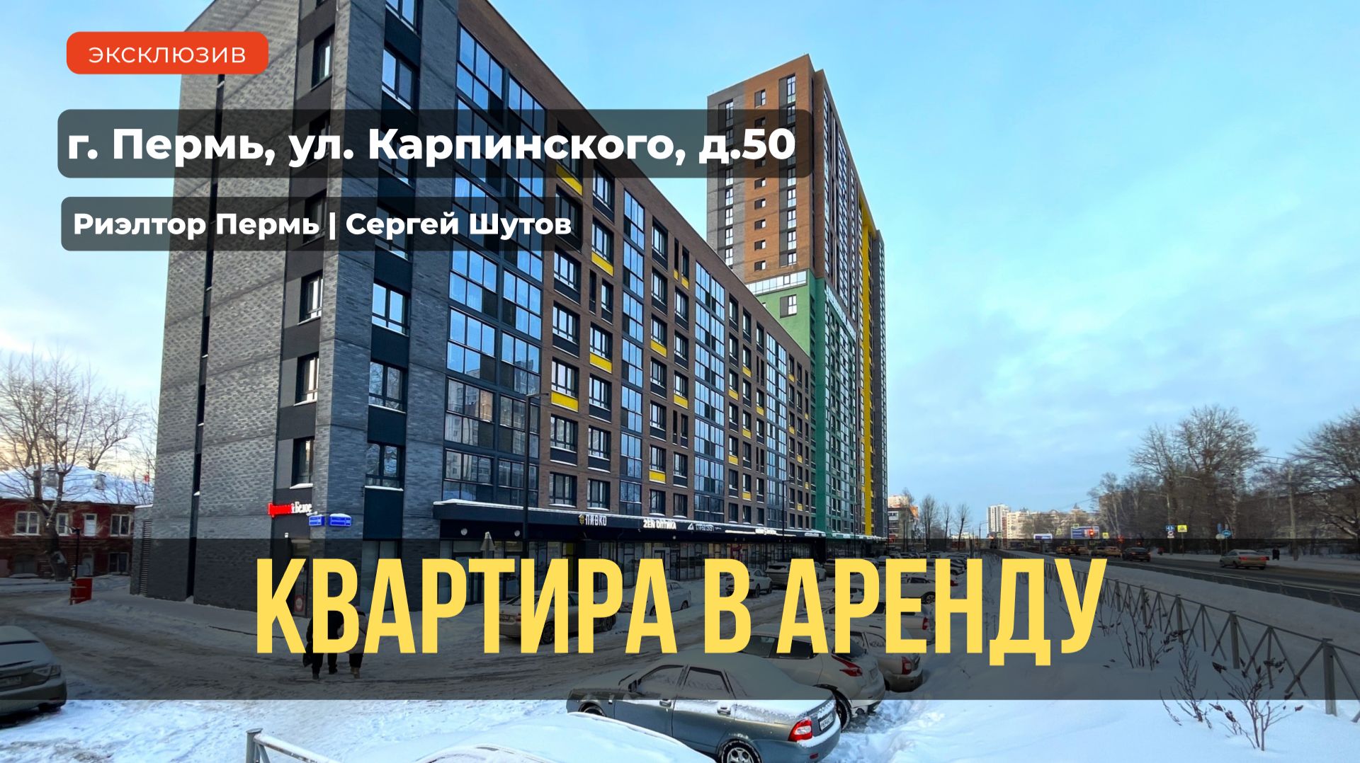 Обзор квартиры в аренду Карпинского 50
