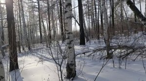 Проверка капканов часть 〽️ 14.