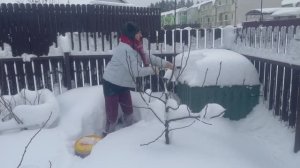 Компостник надо откапать.