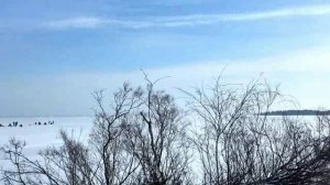 МОРЕ Сазанов❗❗❗клюют один за одним✔️Мы нашли этих МОНСТРОВ😱😱😱