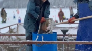 Запуск форели