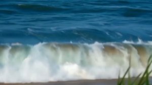 Ай Вай, Вай.