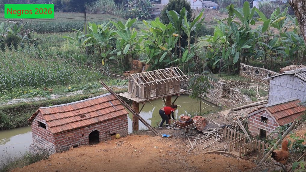 София50. София строит голубятню. смотреть онлайн