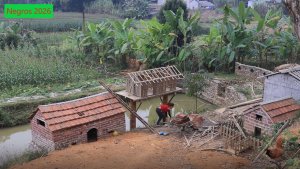 София50. София строит голубятню.