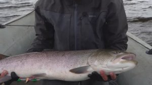 "КИНОТЕАТР РЫБОЛОВА" Таймень Сахалин.