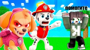 ЗЛАЯ СЕМЬЯ ЩЕНЯЧЕГО ПАТРУЛЯ НАПАЛА НА НАШУ ДЕРЕВНЮ В МАЙНКРАФТ