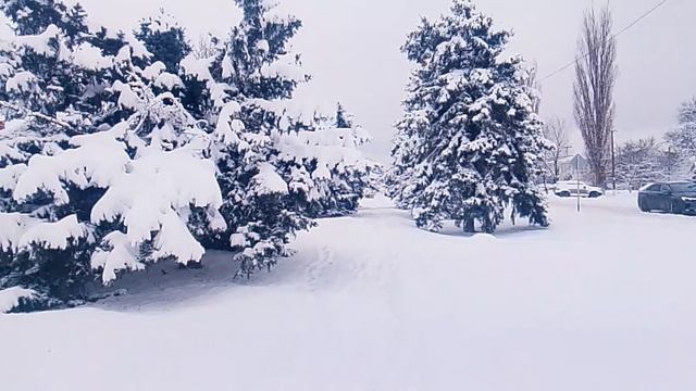 Брюховецкий район —_2026-01-12 📌 📍 смотреть онлайн