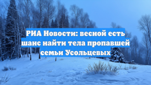 РИА Новости: весной есть шанс найти тела пропавшей семьи Усольцевых