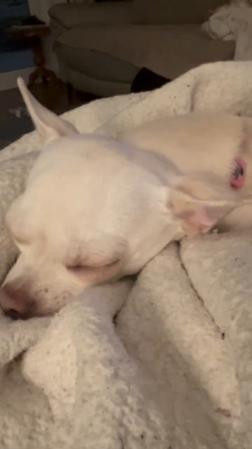 Режим дня смотреть онлайн