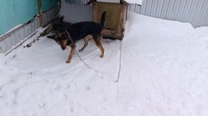 Малыш пришел в гости