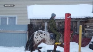 2026 год пройдет под знаком Лошади: астрологи советуют готовиться к переменам