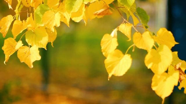 Поздняя смотреть онлайн