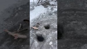 Зимняя рыбалка 2026