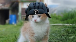 Друзья! Готовы К Бою?! Катаем До Поражения! Tanks Blitz Tanks Blitz Танкиблиц Танки Блиц Танк