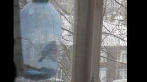 Зимой особенен уют-я домоседствую в квартире.