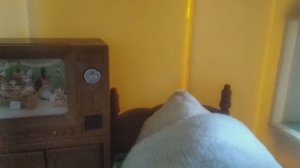 ХРАП БАРКЕРА 💤