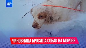 Псковская чиновница выкинула собак на мороз