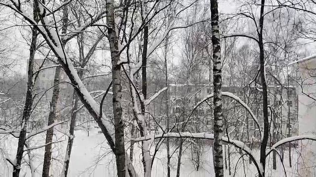 БЛОГЕРЫ БЫВАЮТ РАЗНЫЕ не только злобные НО И ДРУГИЕ смотреть онлайн