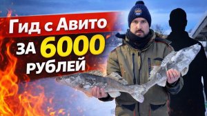 Рыбалка на судака на Горьковском море с гидом за 6000 рублей