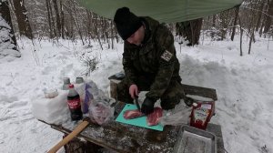 Зимний лес,шашлыки в январе 😼❄️❄️