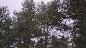 Глупость в нашей жизни. Немного о финансовой грамотности