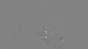 СЛАВИКА НАЙТИ НЕ УДАЛОСЬ — ОН СХАВАЛСЯ,НО КРУЖЕВНЫЕ ТРУСЕЛЯ, ИЗ-ЗА КОТОРЫХ ВСЁ ПОЧАЛОСЯ,Я ВАМ НАШЁЛ.