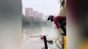 #смешныевидео -573