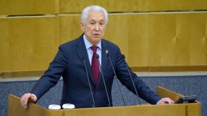 Владимир Васильев: Инициативы необходимо обсудить и понять, где популизм, а где служение Отечеству