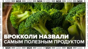 Брокколи назвали самым полезным продуктом - Москва 24