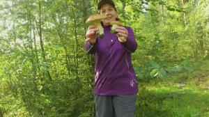 Покров грибной. До Ногинска. 30.08.2025.